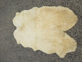 Vintage Rugged Double Sheep Skin Floor Covering /rug 73 By 42 Inches