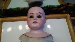 Antique Bisque Doll 20 