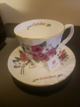 Vintage Royal Patrician Tea Cup & Saucer October Flowers Bone China England