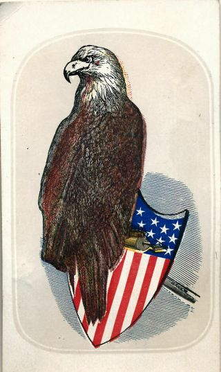 Civil War Cdv " Old Abe " 8th Wisconsin Regiment Live Eagle Mascot Album Filler