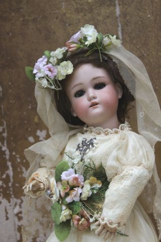Bisque Head Antique Bride Doll By C & O Dressel In Winter Wedding Outfit