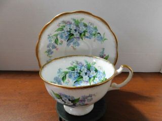 Vintage Royal Standard Forget - Me - Not Bone China Footed Tea Cup And Saucer