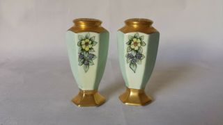 Vintage Bavarian Art Deco Hand Painted Favorite Gilt Floral Design Salt Pepper