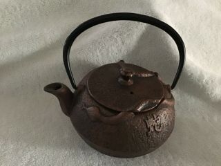 Cast Iron Snake Tea Pot (cooper Color With Insert) Very Good Cond.  Joyce Chen