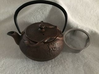 Cast Iron Snake Tea Pot (Cooper Color with Insert) Very Good Cond.  JOYCE CHEN 2