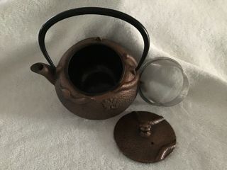 Cast Iron Snake Tea Pot (Cooper Color with Insert) Very Good Cond.  JOYCE CHEN 3