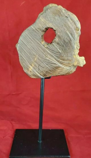 Vintage Stand - Up Sliced Petrified Wood Cast Iron Pedistal Stand 14 " Decor Art