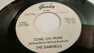 THE DARNELLS Too Hurt To Cry Too Much GORDY PROMO MOTOWN NORTHERN SOUL 45 2