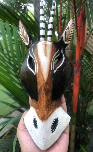 Mask Face Goat Safari Donkey Animal Jungle Head Hand Carved Wood Decor Hang Wall