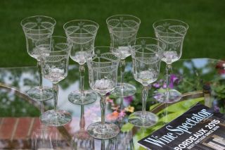 Vintage Etched Optic Wine Glasses,  Set Of 7,  Floral Etched Wine Glasses