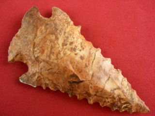 Fine Authentic 3 1/4 Inch Missouri Dovetail Point Indian Arrowheads