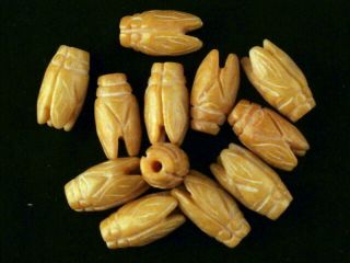 12pics Fine Chinese Jade Hand Carved Cicada Beads Y103