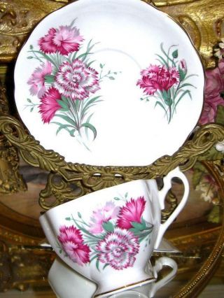 Beatuiful Vintage Queen Anne Pink Carnation Floral Tea Cup And Saucer