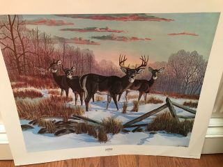 Western Artist Fred Deaver “alerted” 1979 Vintage Deer Print