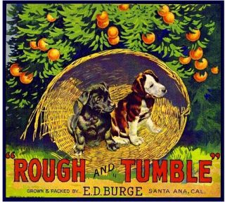 Santa Ana Rough And Tumble Puppy Dog Orange Citrus Fruit Crate Label Art Print