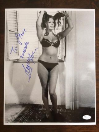 Sophia Loren Hand Signed Oversized 11x14 Photo Sexy Lingerie To Steve Jsa