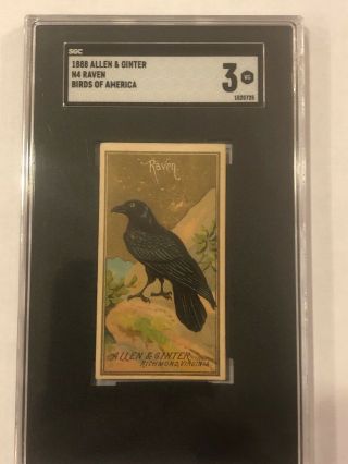 1888 Allen & Ginter Birds Of America N4 Raven Sgc 3 Vg Rare 131 Years Old