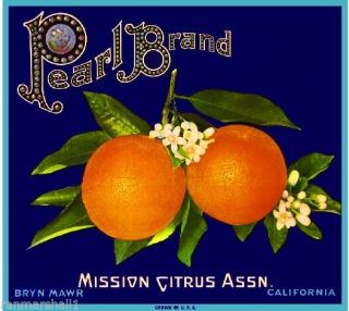 Bryn Mawr Redlands San Bernardino Pearl Orange Citrus Fruit Crate Label Print