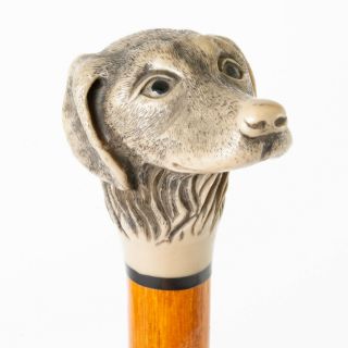 Vintage Walking Stick Briar Wood Cane Carved Resin Hunting Dog Head Handle 36 "