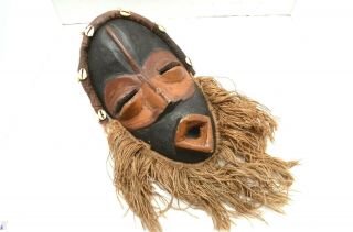 Vintage African Dan Tribe Liberia Hand Carved Wood Bearded Mask Cowrie Shells
