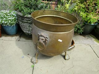 Large Vintage Brass Trough Tub Planter Plant Pot Antique Old Urn Lion Handle 12 "