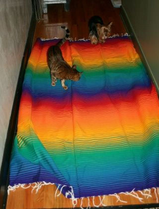 Big Mexican Blanket Rainbow Color Striped Tablecloth Serape Blanket Table 60x88