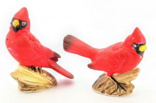 Vintage Cardinal Birds Salt And Pepper Shakers Japan Collectible Aviary Shakers
