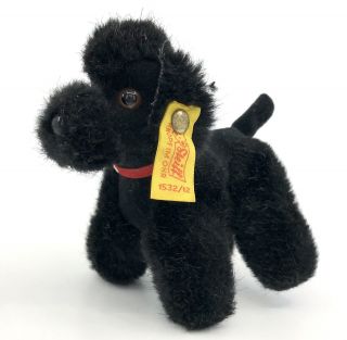 Steiff Blacky Poodle Dog Woven Fur Plush 12cm 5in Id Button Tag 1970s Vintage