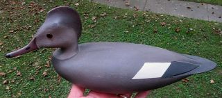 Vintage Hurley Conklin Hen Hooded Merganser Duck Decoy W/ Slightly Turned Head