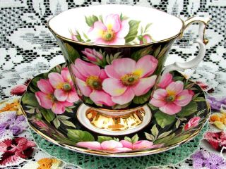 Royal Albert Flora Series Alberta Rose Pink Floral Tea Cup And Saucer