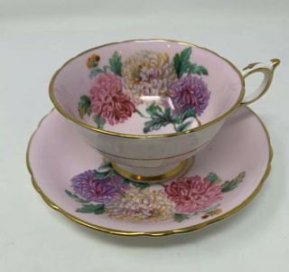 Paragon Bone China Pink Gold Chrysanthemums Tea Cup And Saucer By Appointment