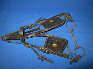 U.  S.  Army Indian Wars Cavalry Horse Bridle