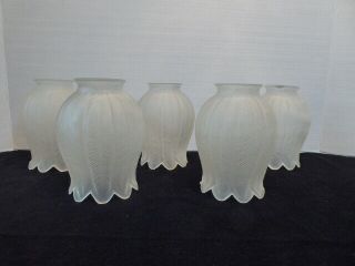 Vintage Set Of 5 White Frosted Tulip Shaped Glass Light Shade Ceiling Fan Globe