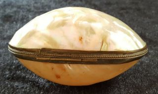 Mother Of Pearl & Gilt Metal Vintage Victorian Antique Clam Shell Trinket Box