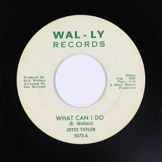 Northern Soul 45 - Joyce Taylor - What Can I Do - Wal - Ly - Mp3