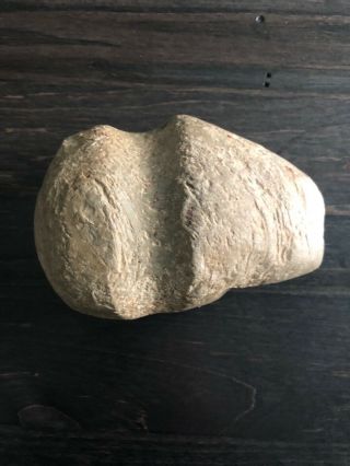 Native American Indian Grooved Stone Axe Head - Personal Find -