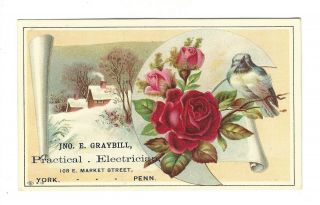 Old Trade Card Jno Graybill Practical Electrician York Pa Rose Bluebird Winter
