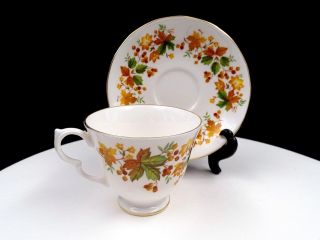 Queen Anne England 8606 Medina Autumn Leaves 2 3/4 " Cup And Saucer Set