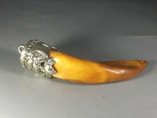 Old China Hand - Carved Wolf Tooth Pendant 06769