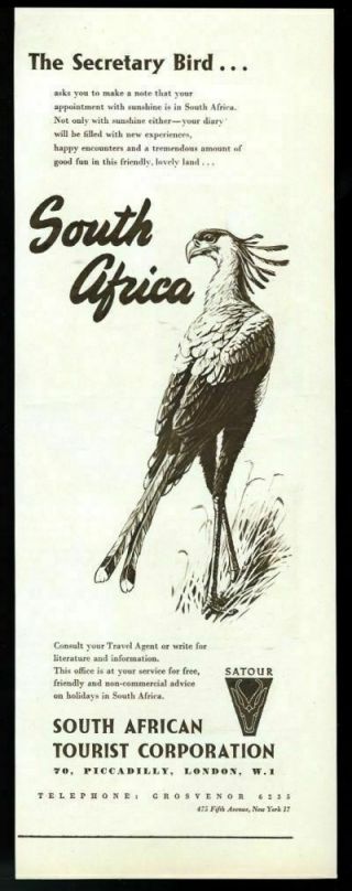 1954 Secretary Bird Art South Africa Travel Vintage Print Ad