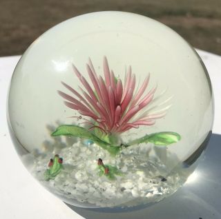 Vintage Clear Art Glass Paperweight Pink Floral Frogs Bubble 3.  5