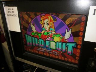 Igs Wild Fruit Jamma Slot Machine Arcade Game Board
