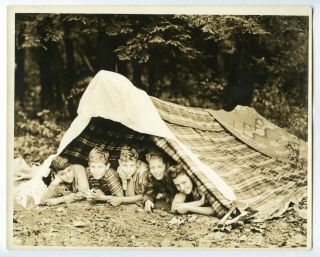 4 Vintage Photo 8 X 10 Camp Boys In A Blanket Tent Snapshot