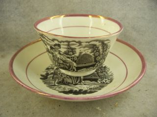 Antique English Pink Luster Handleless Tea Cup & Saucer Black Transfer 19th C 2