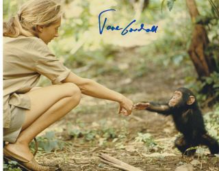 Jane Goodall Signed Autograph Chimpanzees 8x10 Photo Proof 3
