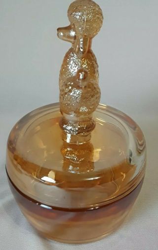 Vtg JEANETTE Marigold Iridescent Glass Poodle Dog Powder Jar,  Candy Trinket 3