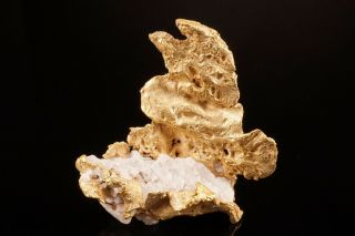 Unique Native Gold On Quartz Mother Lode,  California