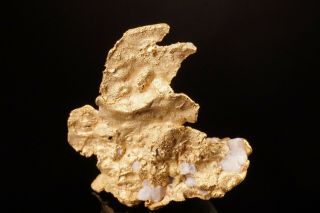 UNIQUE Native Gold on Quartz MOTHER LODE,  CALIFORNIA 2