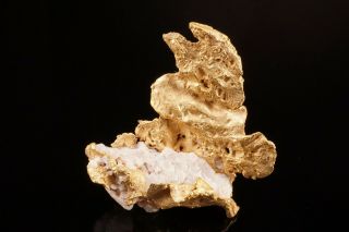 UNIQUE Native Gold on Quartz MOTHER LODE,  CALIFORNIA 3