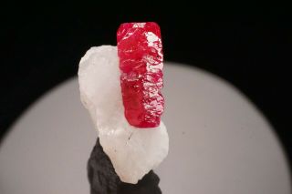 Gem Ruby Crystal On Calcite Mogok